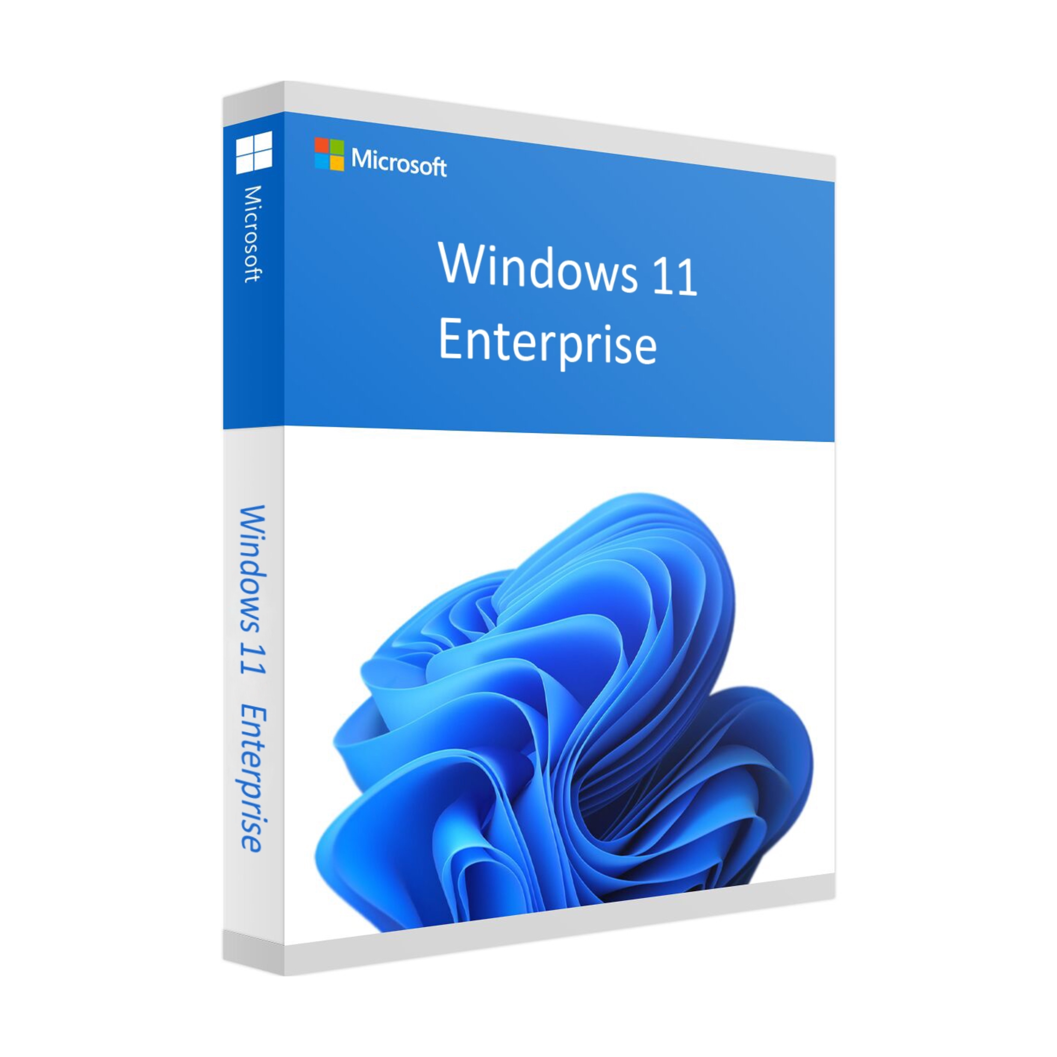 Microsoft Windows 11 Enterprise | 1 copy