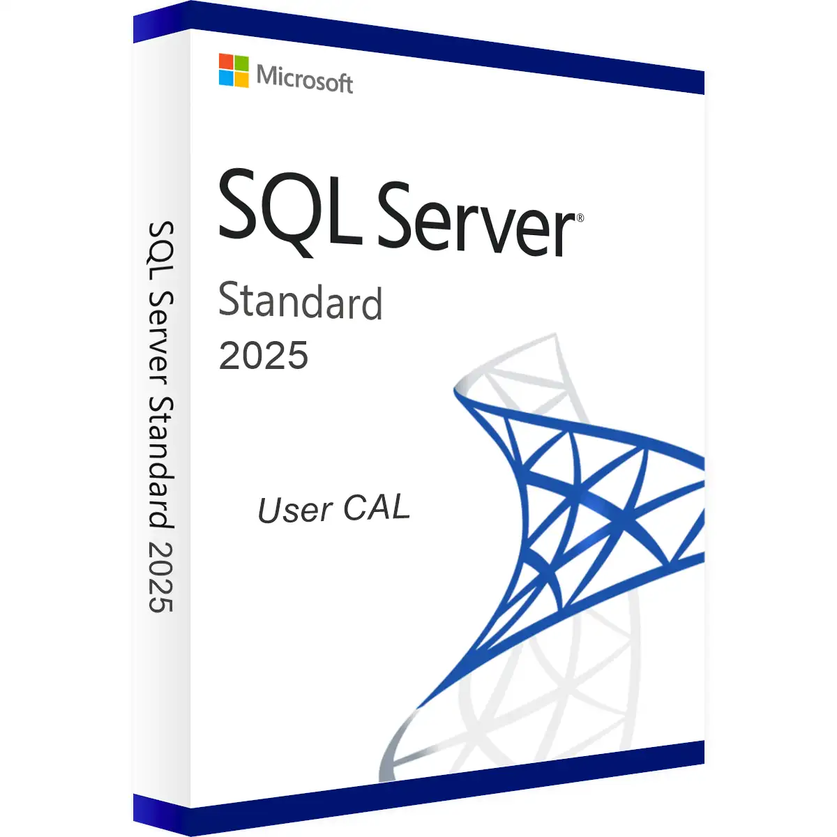 Microsoft SQL Server 2025 User CAL | Database access licence for 1 user