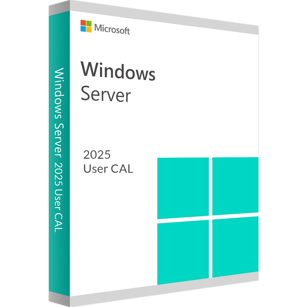 Microsoft Windows Server 2025 User CAL | Access licence for 1 user