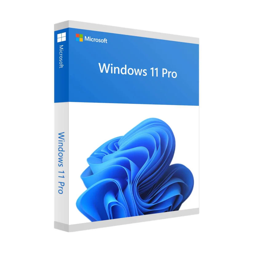 Microsoft Windows 11 Pro OEM – Perpetual licence