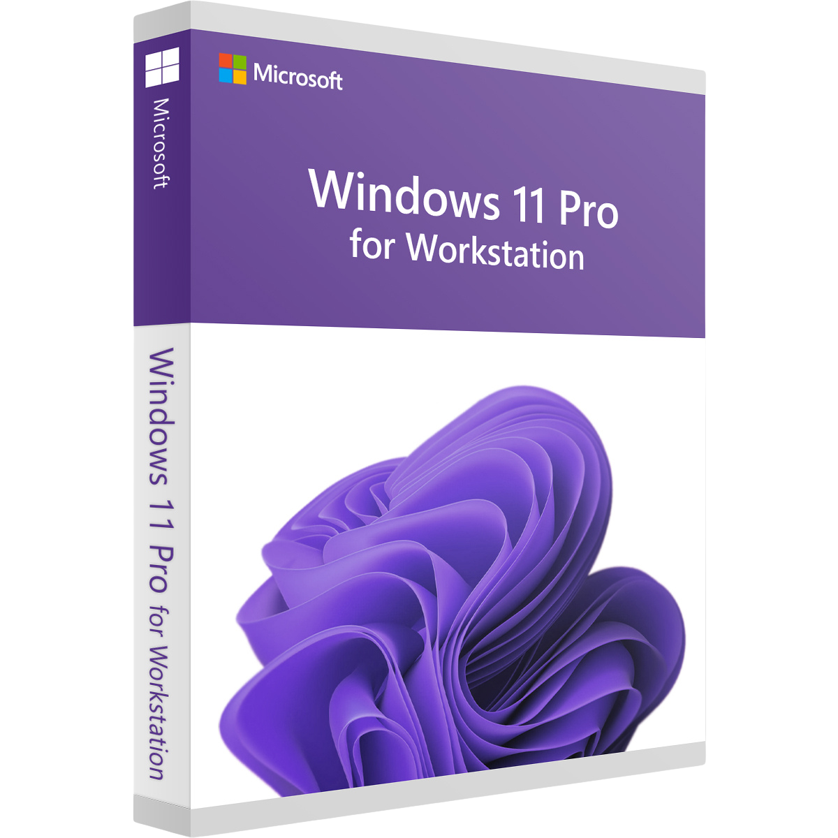 Microsoft Windows 11 Pro for Workstations – Perpetual licence