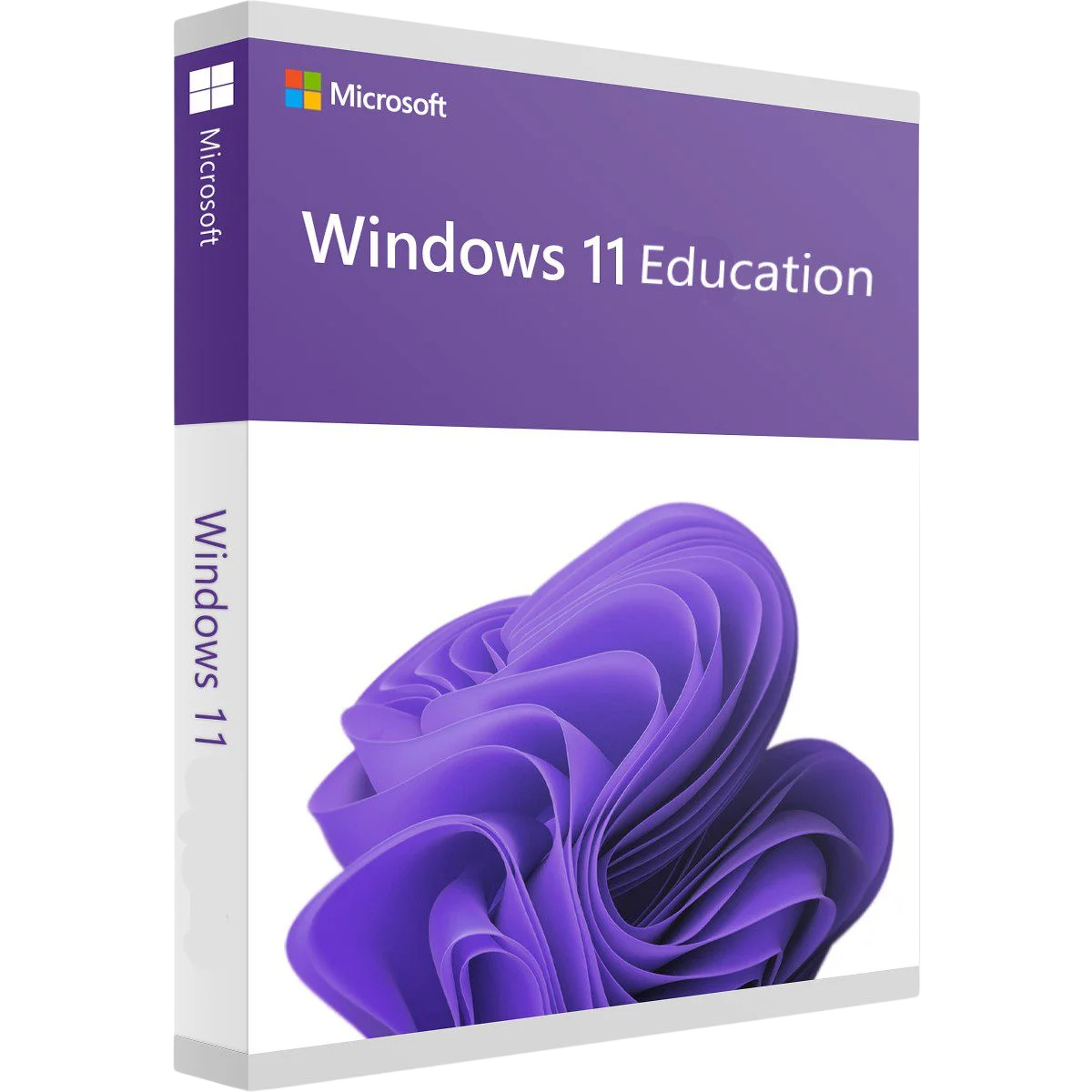Microsoft Windows 11 Education – Perpetual licence